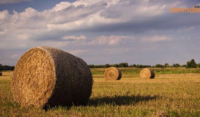 14 ton saman ithal edildi!