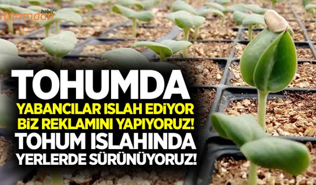 Tohum ıslahında Türkiye’nin acı karnesi!