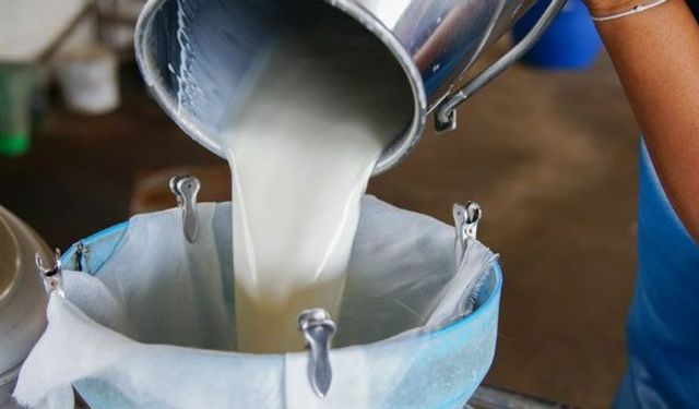 Çiğ sütte kritik uyarı