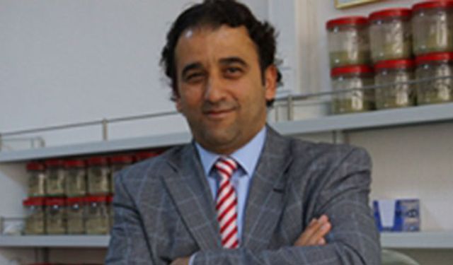 Başka şehirden-ülkeden gelen hayvanları nasıl beslemeliyiz?