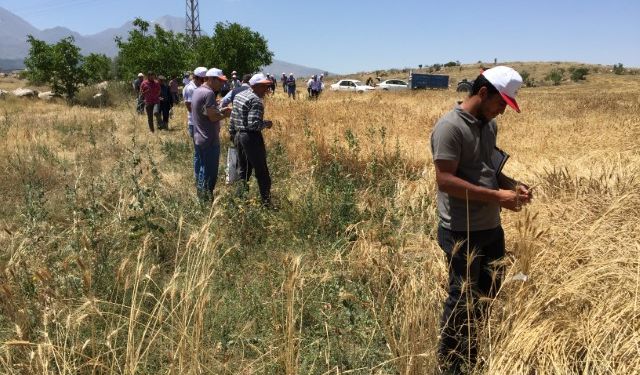 Aksaray’da tarla günü etkinliği düzenlendi