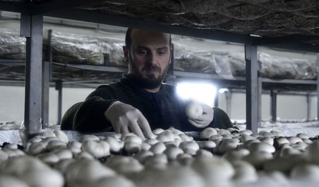 Desteklemeler doğru kullanınca başarı hikayesi oluyor