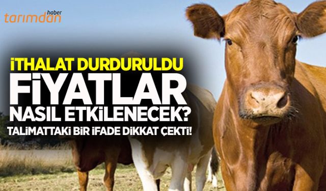 Besilik ithalatının durdurulması hayvan fiyatlarını nasıl etkileyecek?