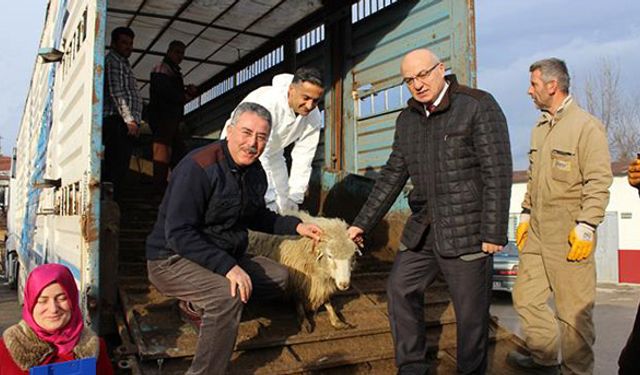 Bolu’da genç çiftçinin yüzü güldü