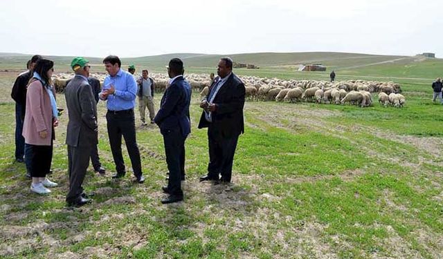 Cibuti heyeti TİGEM’in işletmesini ziyaret etti