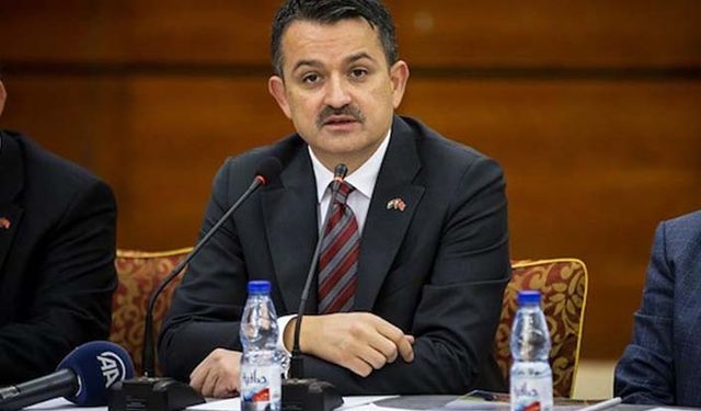 Pakdemirli: İhtiyaçtan saman ithal etmedik!