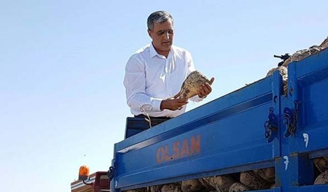 Şeker pancarı tarım ve hayvancılığın atar damarı!