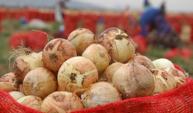 Soğan fiyatlarına Adana da çözüm olmayacak!