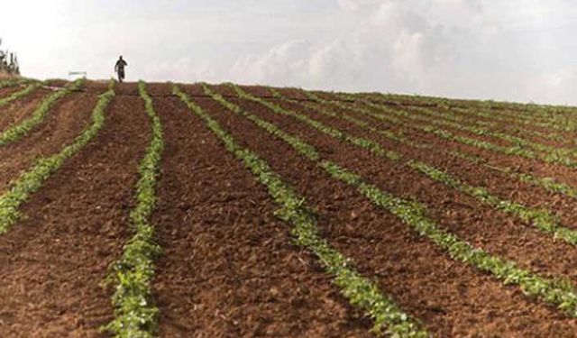 Tarım Şurası kararı sektörde olumlu karşılandı