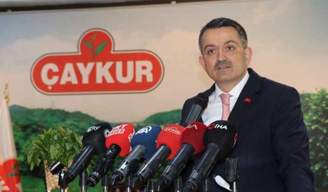 2019 yaş çay alım fiyatı açıklandı!