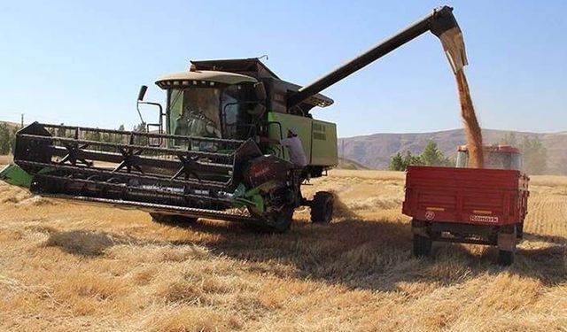 Buğday ve arpa alım fiyatı hakkında!