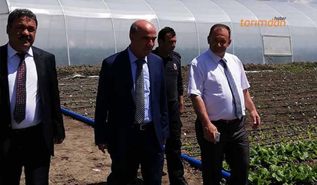 Cezaevindeki seralara Tarım Kredi desteği