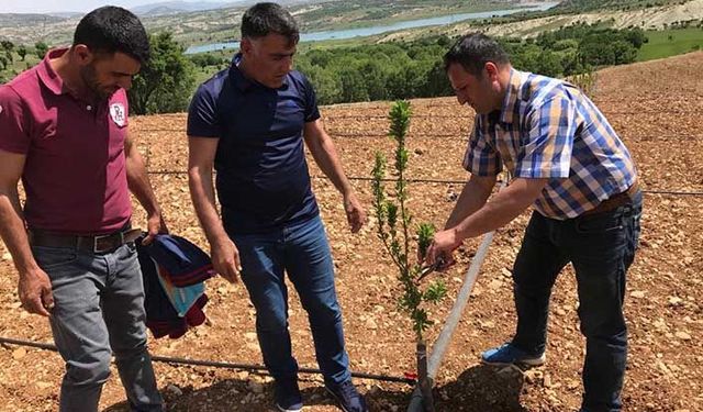Çiftçiye uygulamalı bordo bulamacı eğitimi verildi