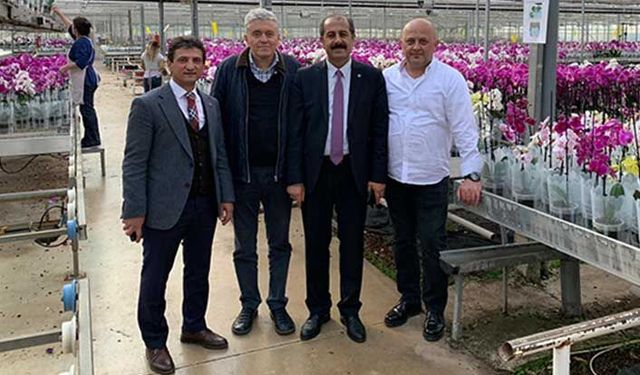 Fide üreticileri A ve B sınıflandırmasını istemiyor!