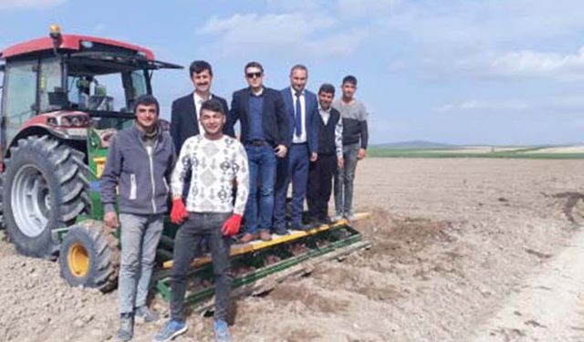 Kardeş ilçeye 5 bin 600 domates fidesi dikildi