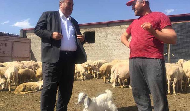 Küçükbaş hayvan yetiştiricisi milletvekiline dert yandı!
