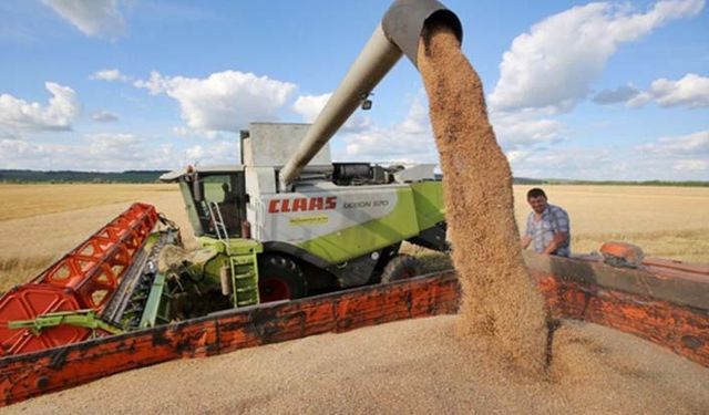 TMO 2019 hububat alımını nasıl yapacak?