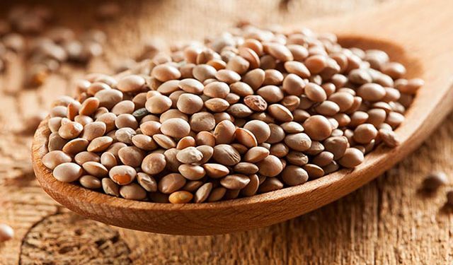 TMO kabuklu mercimek için 26 yıl sonra devreye giriyor!