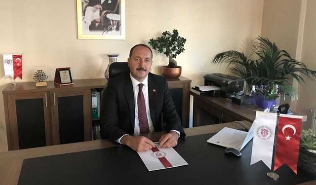 Yaşlı zeytin ağaçlarında Türkiye çelişkisi