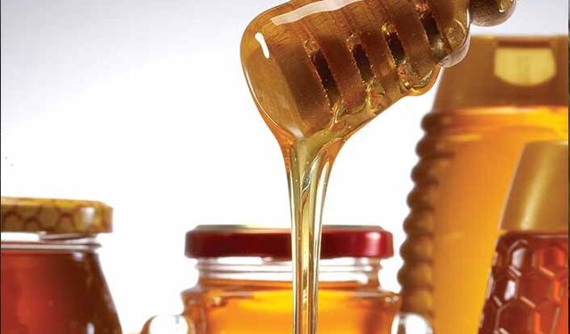 Zeytinyağındaki teşvik modeli balda da uygulanmalı
