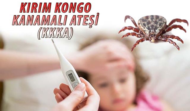 Anne babalar dikkat! Keneye karşı kekik ve lavanta yağı