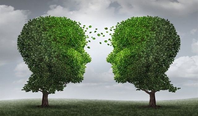 Bilim insanları açıkladı ağaçlar gizlice konuşuyor!