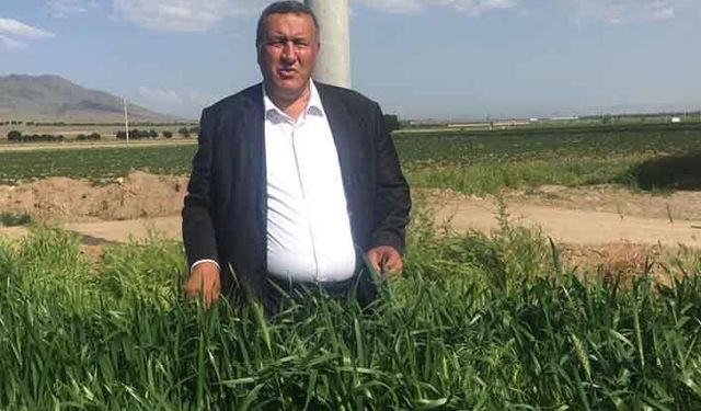 Buğday ekim alanları uyarı veriyor!