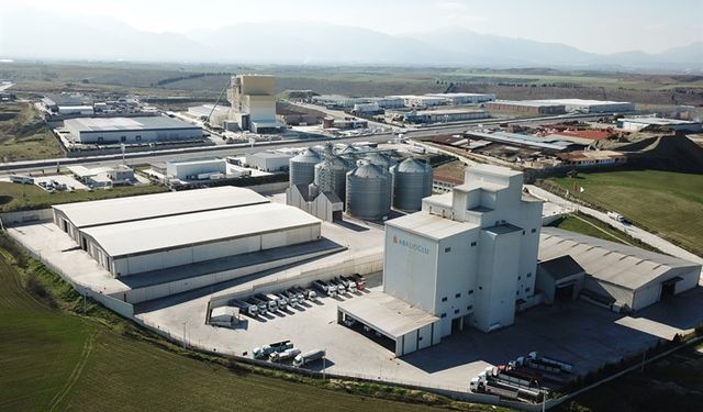 Büyükbaş hayvanlarda sıcaklık stresine karşı ne yapmalı?