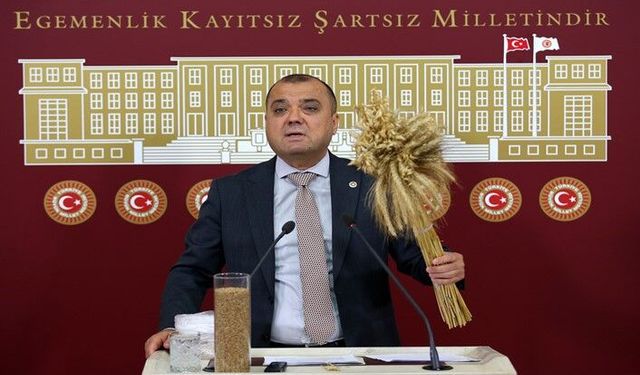 CHP'li Aygun: 'Tarım ve Orman Bakanlığını kapatın'