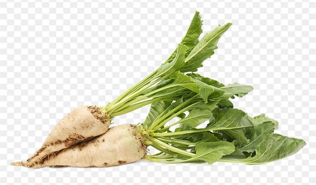 Çiftçi pancardan bibere kaydı!