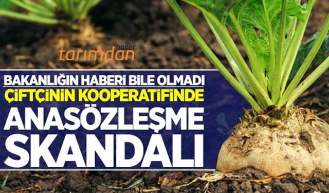 Çiftçinin kooperatifinde anasözleşme skandalı