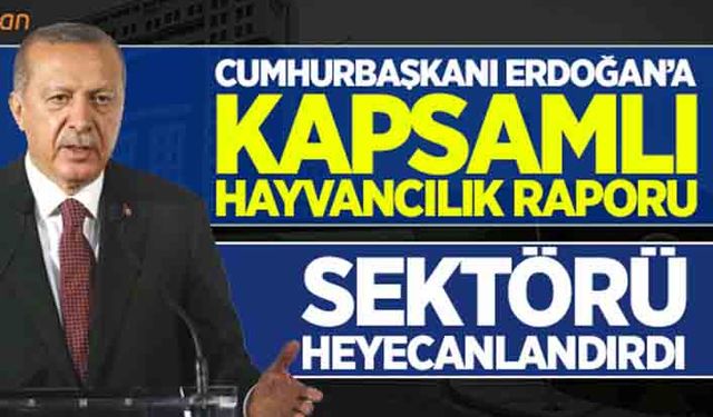 Cumhurbaşkanı Erdoğan’a kapsamlı hayvancılık raporu!