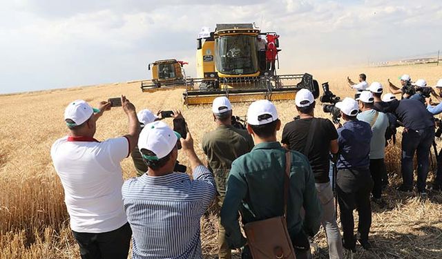 Diyarbakır'da 1.5 milyon ton buğday hasadı bekleniyor