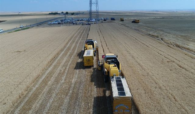 Diyarbakır’da hasat sezonu başladı