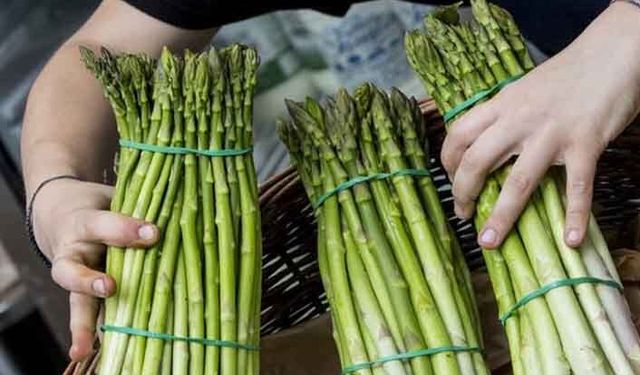 Gıda kaynaklı hastalıklardan her yıl 420 bin kişi hayatını kaybediyor