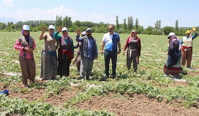 Iğdır’da 30 bin ton karpuz üretimi bekleniyor