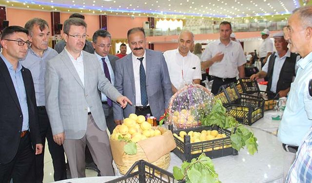 Iğdır’da ilk kez kayısı tanıtım günü düzenlendi