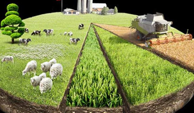 IPARD 6'ncı başvuru çağrı ilanında süreç devam ediyor