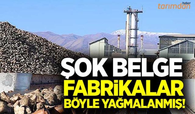 Şeker fabrikalarıyla ilgili şok belge!