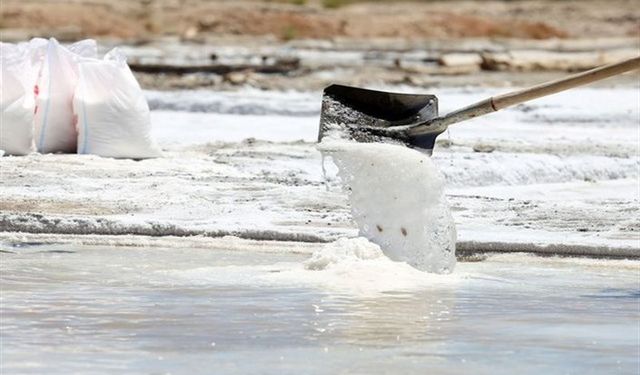 Sivas'ta doğal kaynak tuzunun üretimi başladı