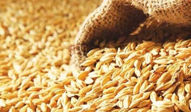 Yavru Vatan'da arpa fiyatları belli oldu!