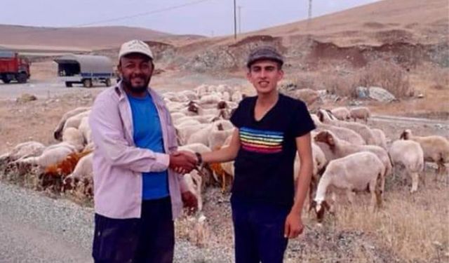 300 koyun projesinde örnek çalışma üreticinin yüzü gülüyor!