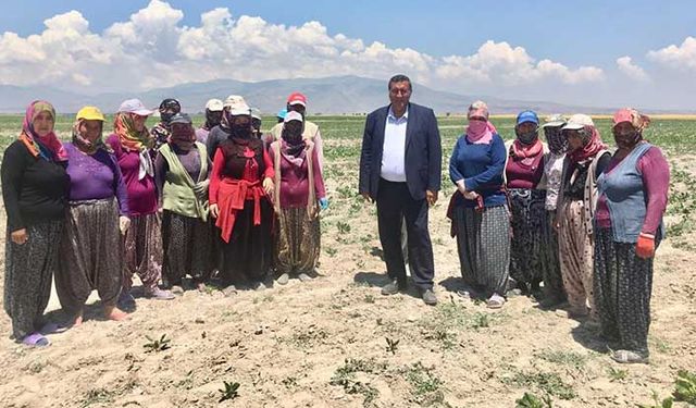 30-40 bin lira ceza çiftçiyi pancardan uzaklaştırdı!