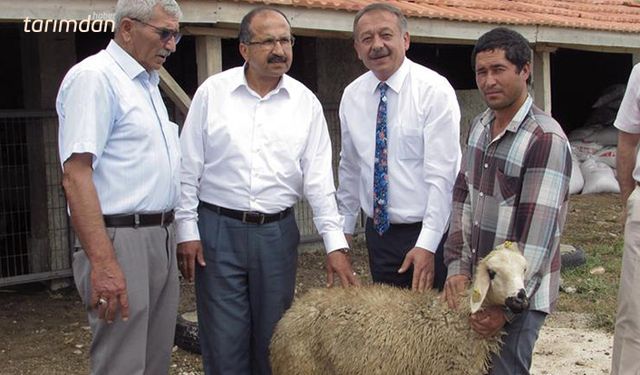 Çorum’da damızlık istasyonuna destek büyüyor