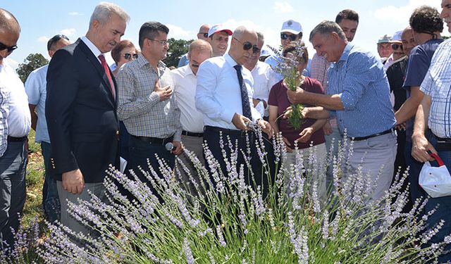 Denizli tıbbi ve aromatik bitkilerde merkez olmayı hedefliyor