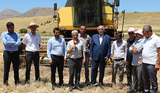Elazığ’da hububat hasadı devam ediyor