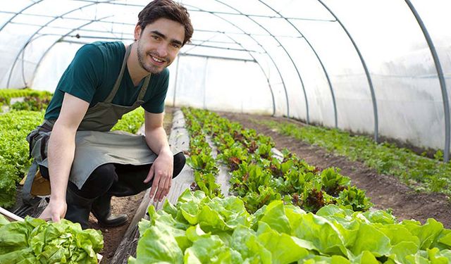 Genç çiftçinin yerine 'Uzman Eller' geldi! Üniversite mezununa 100 bin lira destek!