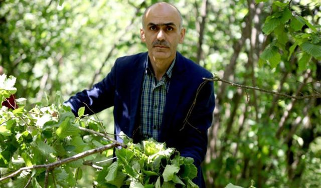 Giresun Ziraat Odası fındık için teşekkür ilanı verdi