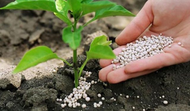 Gübre ve zirai ilaçta sahtekarlar durmak bilmiyor!