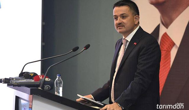 İspanya’dan getirilen hayvanlar karantinaya alındı